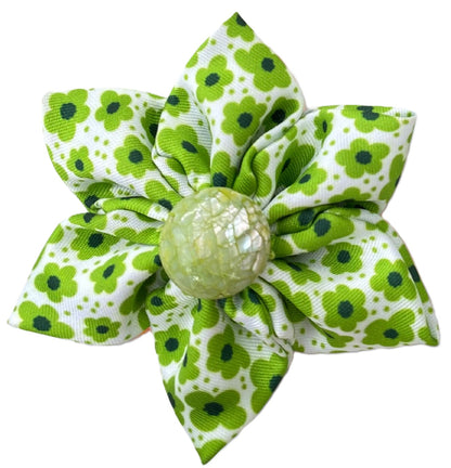 Green Obsession Flowers
