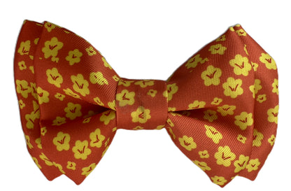 Hello Sunshine Bows