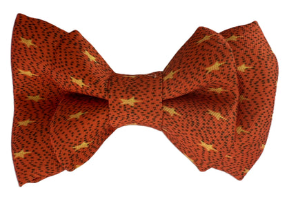 Cosmic Bows