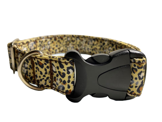 Safari Collars